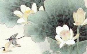 手機(jī)號(hào)碼吉兇查詢 1至81數(shù)理4個(gè)吉祥數(shù)字
