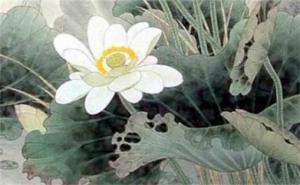 手機(jī)尾號(hào)與財(cái)富命運(yùn)——哪些號(hào)碼比較聚財(cái)大富大貴？