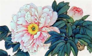 屬馬財(cái)運(yùn)最旺手機(jī)尾號(hào) 屬馬的人怎么選手機(jī)號(hào)