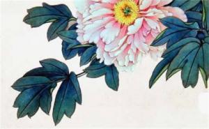 手機(jī)號(hào)碼2288好嗎 手機(jī)號(hào)碼222吉利嗎