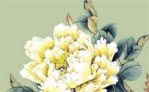 手機(jī)號(hào)帶0真的破財(cái)嗎 帶財(cái)運(yùn)的手機(jī)號(hào)怎么組合