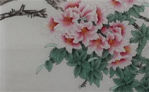 手機(jī)號(hào)碼79個(gè)數(shù)好不好 手機(jī)號(hào)碼79結(jié)尾