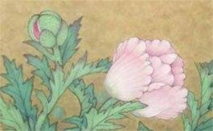 手機(jī)號碼2代表什么意思 手機(jī)號碼24好不好