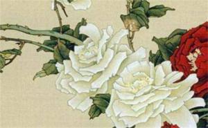 后三位聚財(cái)手機(jī)尾數(shù) 手機(jī)號(hào)最好的磁場組合