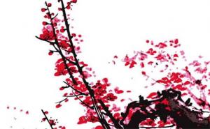 手機(jī)號(hào)碼尾數(shù)忌諱 女人帶財(cái)運(yùn)的手機(jī)號(hào)