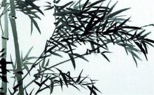 81年用什么手機號碼好 手機號碼運氣最好的號碼