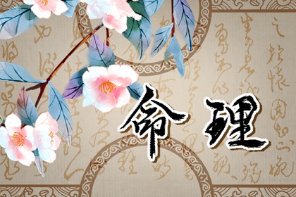 2024年屬龍出生幾月 三月是天選之子