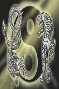五行屬水的羊絨公司名字 響當(dāng)當(dāng)?shù)钠髽I(yè)名稱