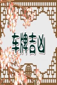 自選車牌號碼技巧 選號注意事項(xiàng)
