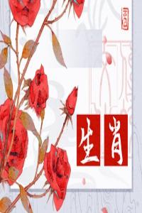 卜算子算命网