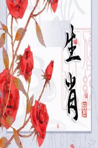 卜算子算命网