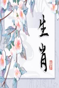 卜算子算命网