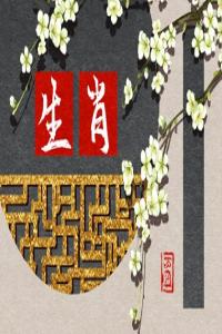 卜算子算命网