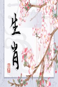 卜算子算命网