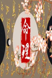沙中金命人的命運(yùn) 沙中金命的人運(yùn)程情況