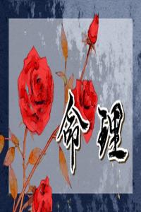 沙中金命是什么意思 甲午乙未砂中金