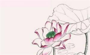 手機(jī)號碼旺事業(yè)的數(shù)字 人旺財(cái)旺事業(yè)旺的手機(jī)號