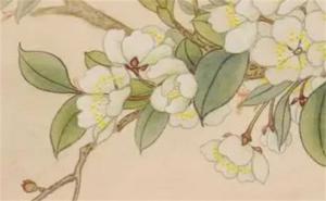 手機(jī)號碼1111跟7777哪個(gè) 好招財(cái)旺運(yùn)的手機(jī)號碼