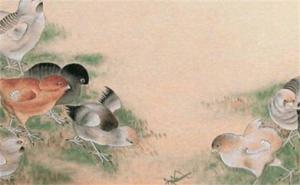 手機(jī)號(hào)碼要怎么選才吉利 手機(jī)號(hào)碼尾號(hào)后四位吉祥號(hào)
