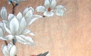 女人財(cái)運(yùn)婚姻好的手機(jī)號(hào) 女性手機(jī)號(hào)桃花運(yùn)最強(qiáng)