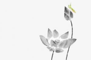 卜算子算命網(wǎng)