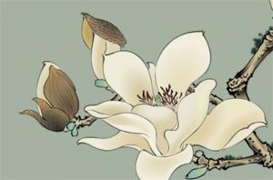 卜算子算命網(wǎng)