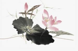卜算子算命網