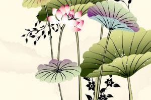 卜算子算命網(wǎng)