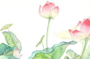 卜算子算命網(wǎng)