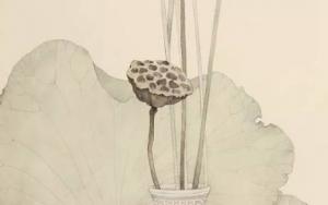 卜算子算命網(wǎng)
