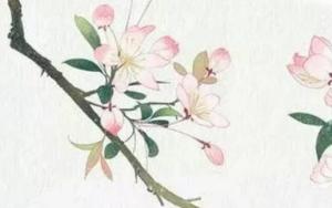 卜算子算命網(wǎng)