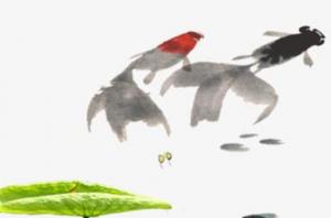 卜算子算命網(wǎng)