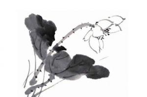 卜算子算命網(wǎng)