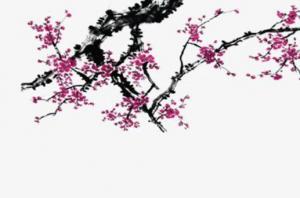 卜算子算命網