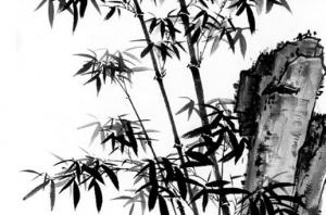 卜算子算命網(wǎng)