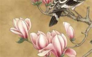 手機號最旺財?shù)奈矓?shù)女 手機號碼能量數(shù)字吉祥號