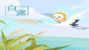卜算子算命網(wǎng)