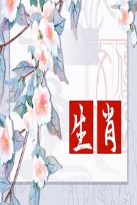 卜算子算命网