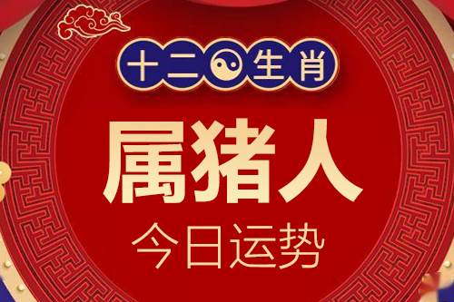 生肖属猪人今日运势详解_属猪的人2023年12月7日特吉生肖运程小运播报