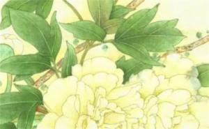手機號哪些數(shù)字吉利有財運 手機號最旺財?shù)奈矓?shù)