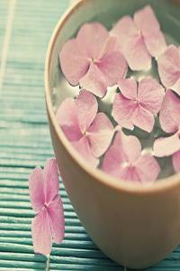 能發(fā)財(cái)?shù)暮梅孔硬季?能發(fā)財(cái)?shù)姆孔硬季质鞘裁礃拥?>
                            </div>
                            <dl class=