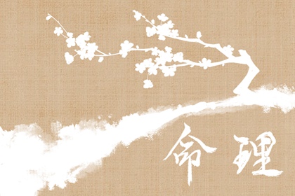 印格用財(cái)是什么格局 印格用財(cái)?shù)膬?yōu)點(diǎn)