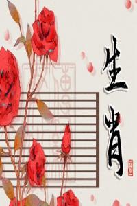 卜算子算命网