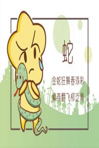 卜算子算命网