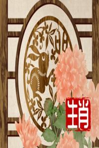 卜算子算命网