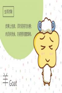 卜算子算命网