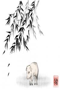 卜算子算命网