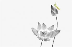卜算子算命網(wǎng)